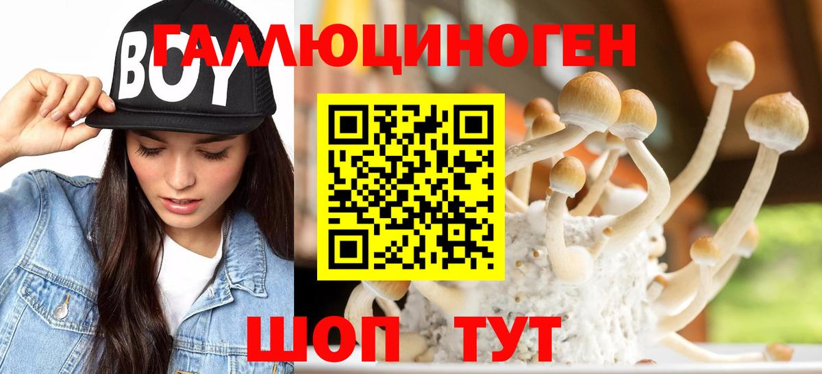 где купить   Вход с VPN  Галлюциногенные грибы Psilocybe  Бугуруслан  Псилоцибиновые грибы Magic Shrooms 